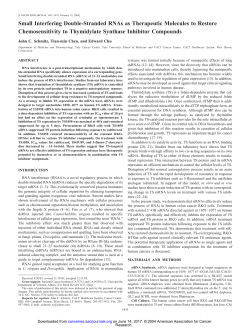 Small Interfering Double-Stranded RNAs as