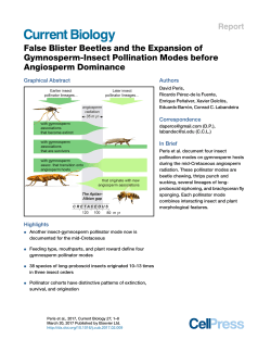 False Blister Beetles and the Expansion of Gymnosperm