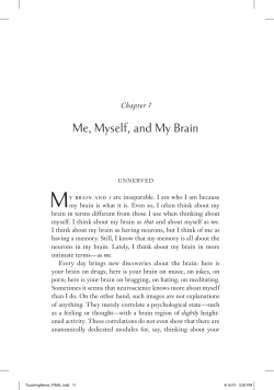 me, myself, and my Brain