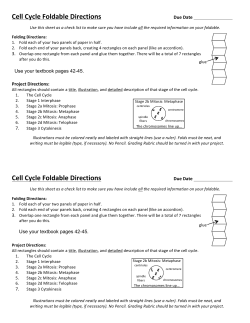 mitosis foldable