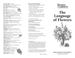 The Language of Flowers - Extension Store