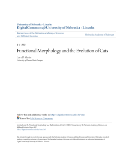 Functional Morphology and the Evolution of Cats
