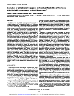 Formation of Glutathione Conjugates by