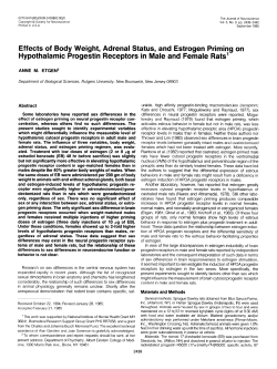 Effects of Body Weight, Adrenal Status, and Estrogen Priming on