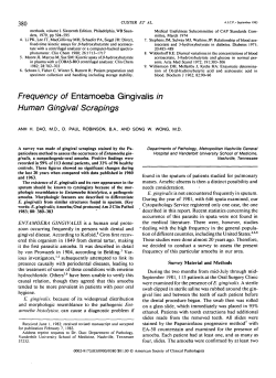 Frequency of Entamoeba Gingivalis in Human Gingival Scrapings