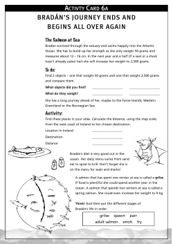 Workcard 6 - Something Fishy.ie