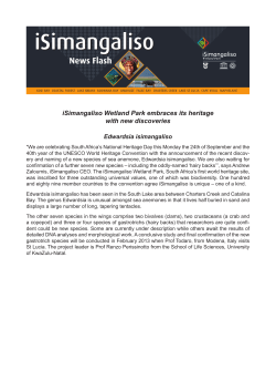 iSimangaliso Wetland Park embraces its heritage with new discoveries