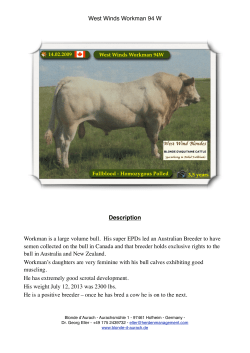 Description Workman is a large volume bull. His super EPDs led an