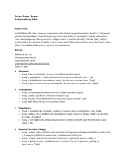 see essay question