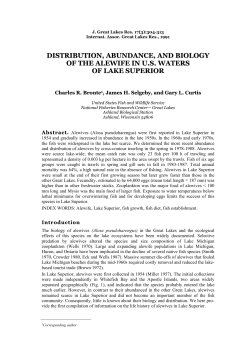 Bronte_et al_1991