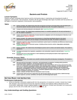 Bacteria and Protists