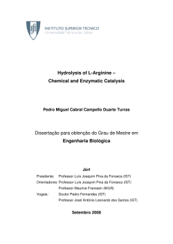 Hydrolysis of L-Arginine – Chemical and Enzymatic Catalysis