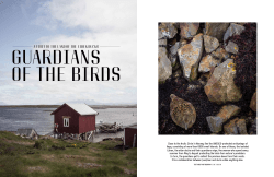 a visit to the land of the eider ducks