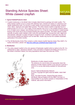Crayfish fact sheet