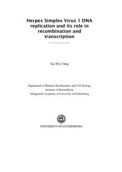 Herpes Simplex Virus 1 DNA replication and its role