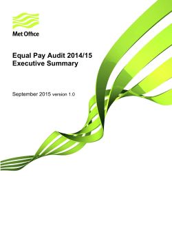 Equal Pay Audit 2014/15 Executive Summary