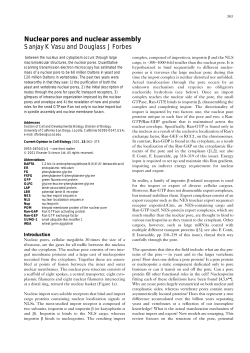 Nuclear pores and nuclear assembly Sanjay K Vasu and