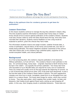 How Do You Bee? - Cape Cod Cranberry Growers` Association
