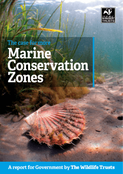 The case for more - The Wildlife Trusts