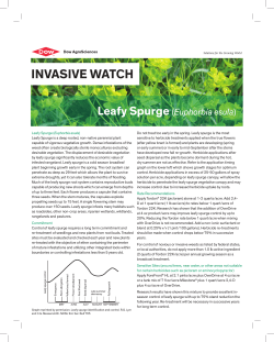 invasive watch - The DOW Chemical Company