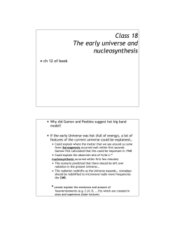 19th The Very Early Universe and Nucleosynthesis