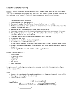 Rules for Scientific Drawing-Checklist