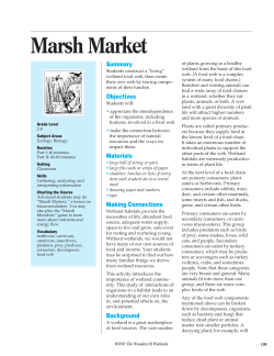 Marsh Market - Environmental Concern Inc.