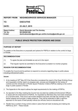 Item 9 Public Space Protection Orders and Dogs