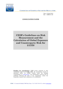 CESR`s Guidelines on Risk Measurement and the Calculation of