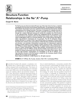 Structure-Function Relationships in the Na ,K -Pump