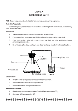 Class X - Delhi.gov.in