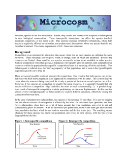 Microcosm Directions - VBL