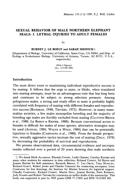 SEXUAL BEHAVIOR OF MALE NORTHERN ELEPHANT SEALS: I