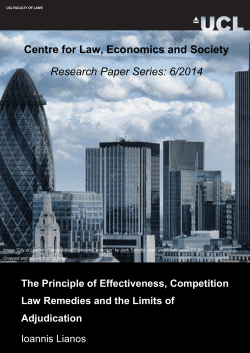 The Principle of Effectiveness, Competition Law Remedies