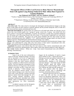 Therapeutic Effects of Olive Leaf Extract or Bone Marrow