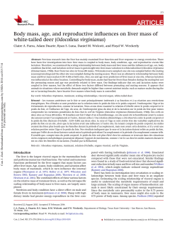 Body mass, age, and reproductive influences on liver mass of white