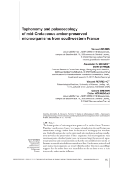 Taphonomy and palaeoecology of mid