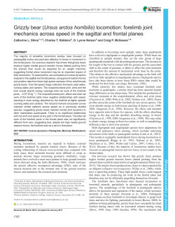 Grizzly bear - Journal of Experimental Biology