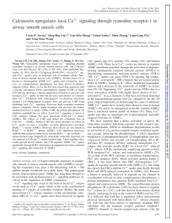 Calcineurin upregulates local Ca2 signaling through - AJP-Lung