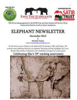 elephant newsletter - Wilderness Wildlife Trust