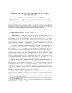 DOUBLE MILLING IN SELF-PROPELLED SWARMS FROM KINETIC