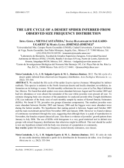 THE LIFE CYCLE OF A DESERT SPIDER INFERRED FROM
