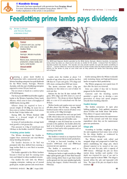 Feedlotting prime lambs pays dividends