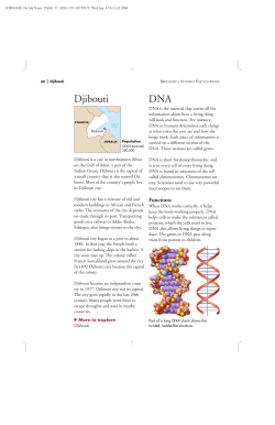 Djibouti DNA