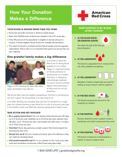 How Your Donation Makes a Difference
