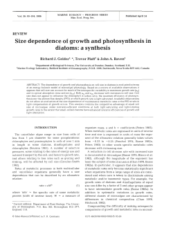 Size dependence of growth and photosynthesis in