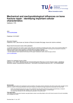 Mechanical and mechanobiological influences on bone fracture repair