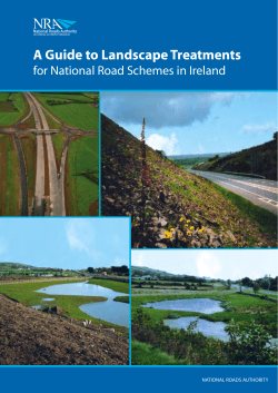 A Guide to Landscape Treatments for National Road Schemes in