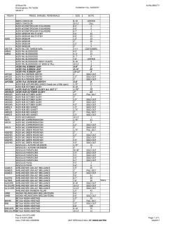 ACER PAL RIBBON LEAF 6-8` 5 ACER PAL RIBBON LEAF 8