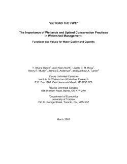 beyond the pipe - Archives publiques de l`Ontario
